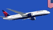 Strangers who met on Delta flight cited for in-flight friskiness - TomoNews