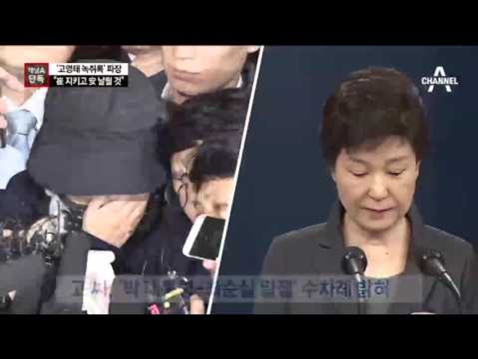 [채널A단독]고영태 “최순실 지키고 안종범 날릴 것”