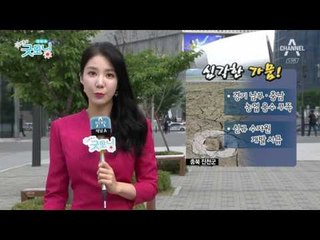 중부와 호남에 내리는 비에 더위 꺾이는 오늘날씨, 내일날씨는?