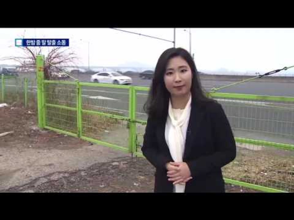 자유로 한복판 말 4마리 출몰…도로 역주행