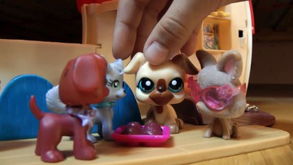 LPS: Popular (Episode 5: Egy régi mese)