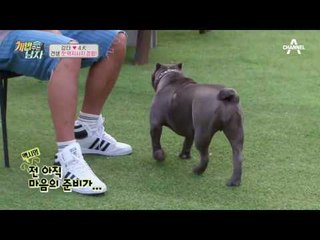 오랜만에 쫄보시멈（?）모드로 변신한 맥시멈! 이제 쎈과 비너스,제이 마음을 알겠니?