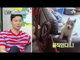 뚜이의 일거수일투족을 감시! 24시간 돌아가는 뚜캠!