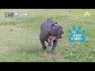 둘만의 야외 데이트를 즐기는 콩이와 맥시멈! 과연 그들은?