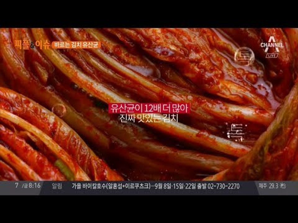바르는 유산균 김치, 올해 안에 나온다