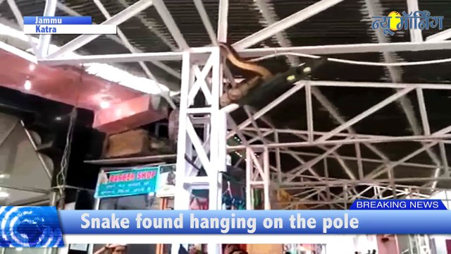 Pilgrims Headed To Vaishno Devi Witnessed Unusual Scene Of big Python