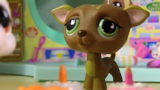 ❤ LPS: Valentines Day Special ❤