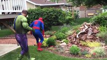 SPIDERMAN BECOMES A MERMAID! Frozen Elsa Hulk Superhero Babies Play Doh Cartoons Stop Motion Movies