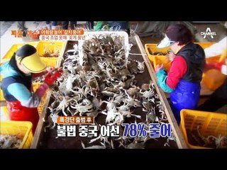 치솟는 밥상물가! 갈치, 꽃게는 걱정 말아요~