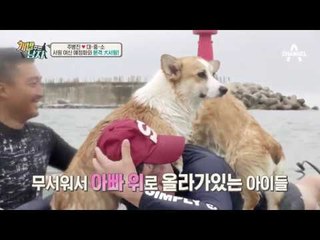 대중소, 서핑 여신 예정화와 매혹적인 犬서핑!