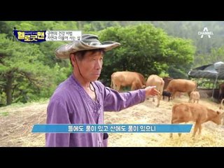 생활 근육 대박! 종횡무진 굿맨, 김홍도의 자연과 더불어 사는 삶!