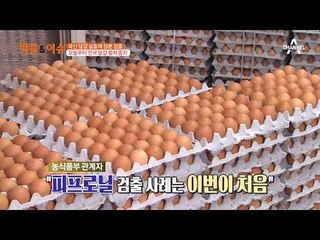 국산 달걀 살충제 성분 검출, 오늘부터 전국 달걀 출하 중지