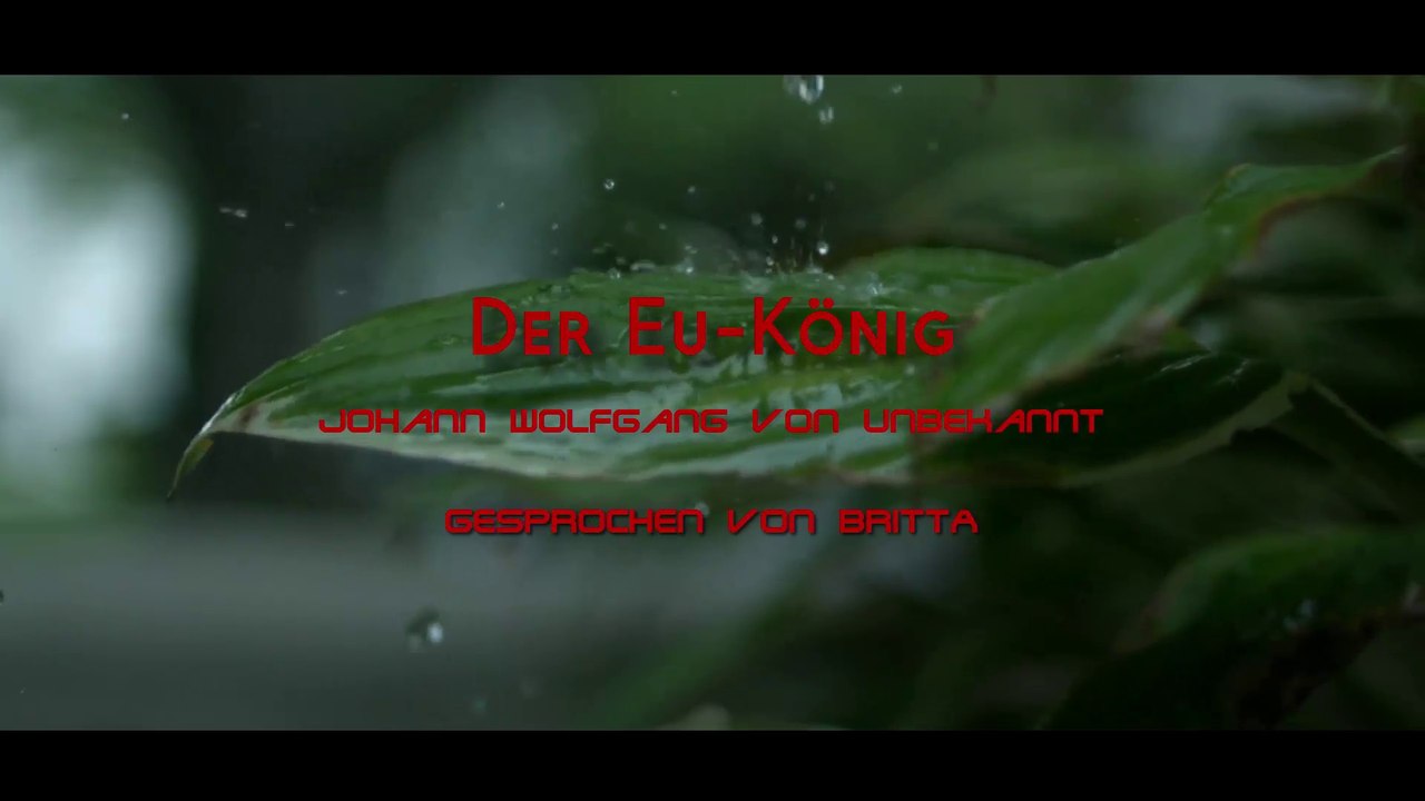 Netzfund! - Der EU-König - Wer kommt übers Meer durch Nacht und Wind?