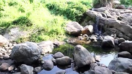 DAYI BEÇTAVUĞU YAPIYOR!!!!!