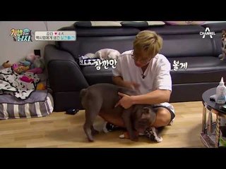 맥시멈에게 싱크홀（?）이 생겼다?! 우리가 모르던 맥시멈의 고충!