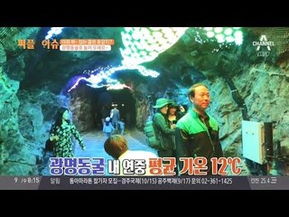 도심 한 가운데에서 즐기는 동굴탐험, 광명동굴