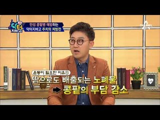 [주치의 처방전] 콩팥이 건강해지는 '식사량' 하루 2끼는 콩팥 크기로!