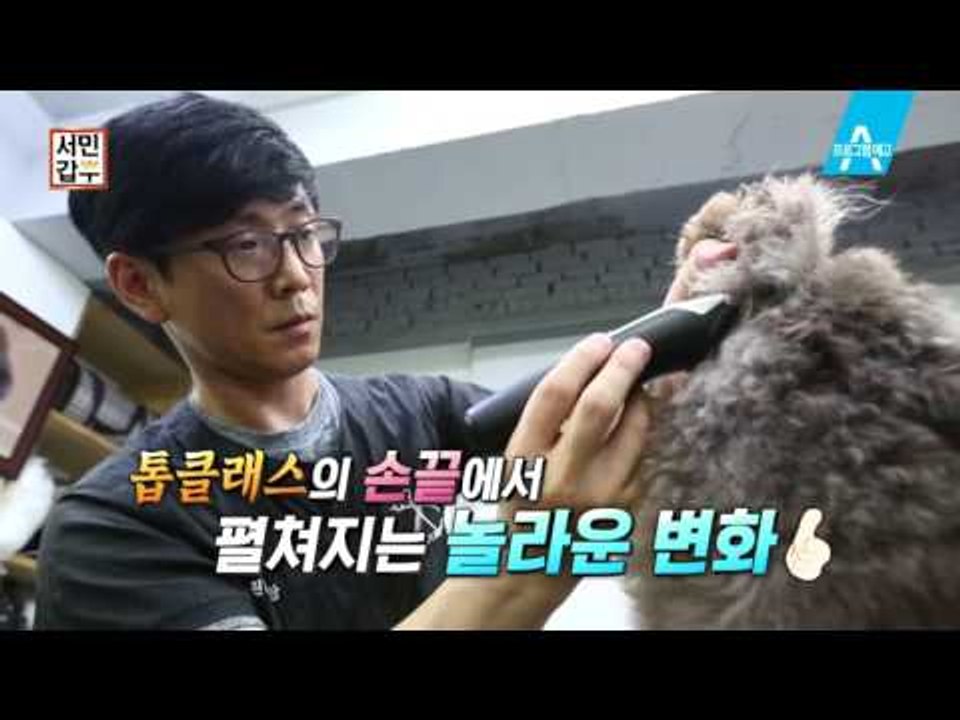 [예고] 가위 하나로 연매출 4억 신들린 가위손 덕황씨