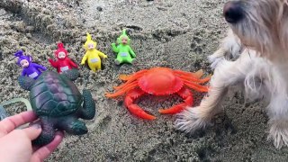 TELETUBBIES TOYS Dig for Sea Creatures at the Beach!-nvVaTIXVwFk