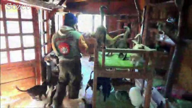 Evinde onlarca kedi ve köpekle birlikte yaşıyor