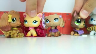 LPS: Types of Couples - Funny Skit