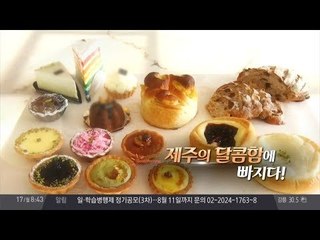 눈과 입이 모두 즐거운 제주도의 달콤함에 빠지다