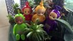 TELETUBBIES Toys Learning About Indoor Plants and Flowers!-ldKJKOZz3oU