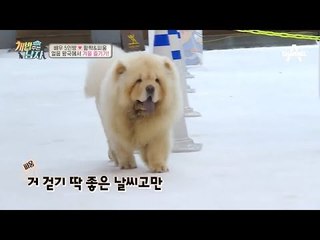 한 여름, 얼음 왕국으로 모험을 떠난 활짝 & 피움! (with 뚜랄 뚜이선생)