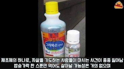 [그라목손]지식인 공포 레전드