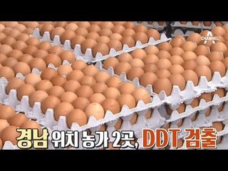 친환경 달걀에서 맹독성 물질 DDT 검출, 연속되는 살충제 달걀 논란