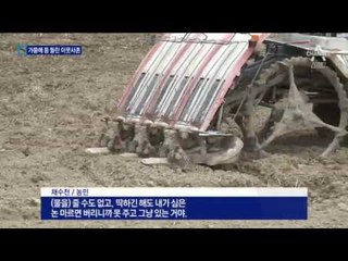 “깊게 파도 없어요”…물도 민심도 마른다