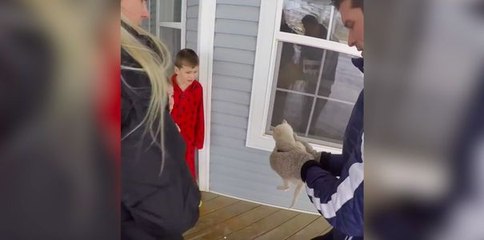 Ils sauvent un petit chaton tombé dans la neige !