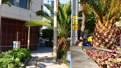 Why are Mexicans SO HAPPY? | MEXICO CITY