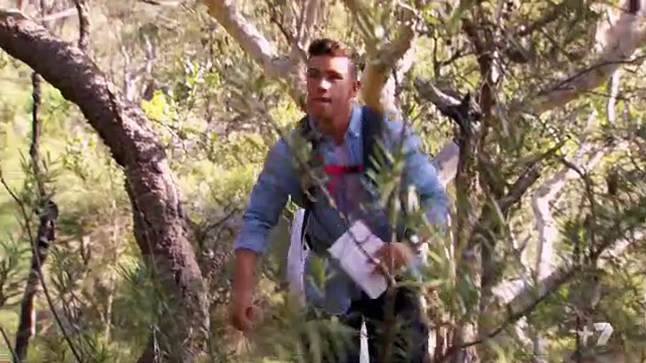 Home and Away 6768 2nd November 2017 Part 2/3