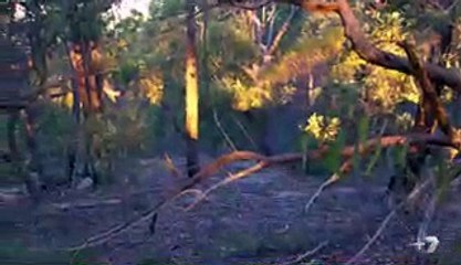 Home and Away 6769 2nd November 2017 Part 3/3