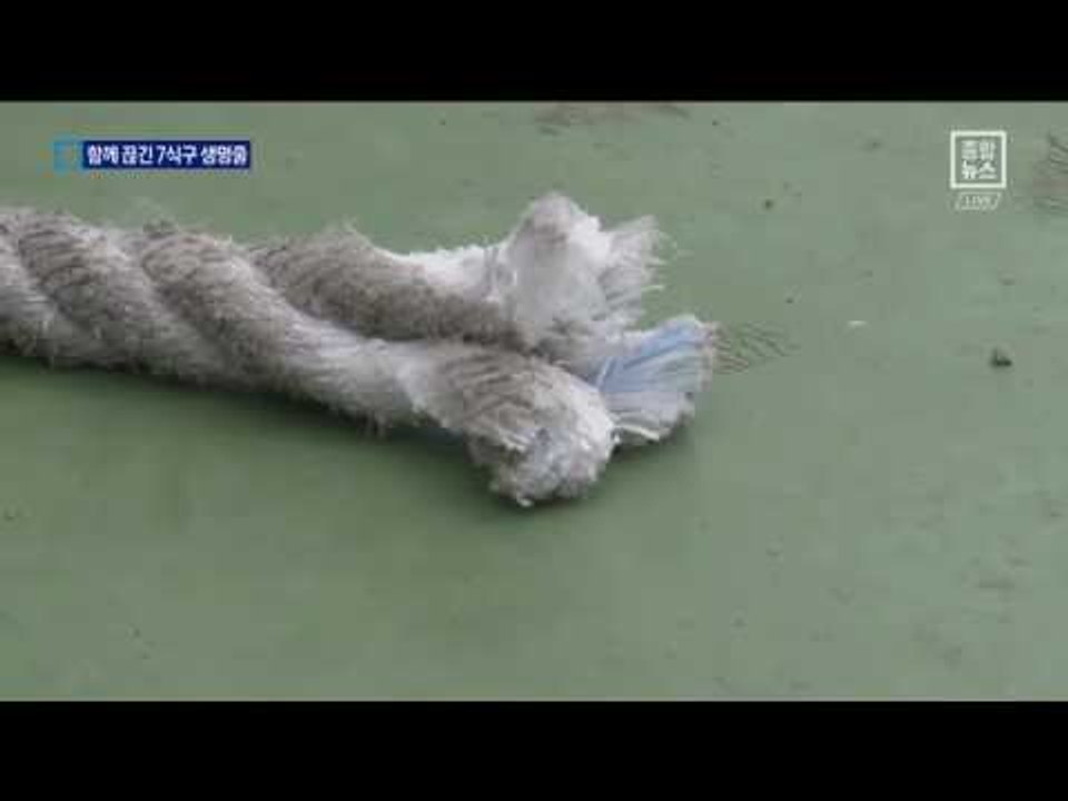 끊어진 7명 생명줄…마지막 약속 결국 못 지켜