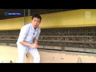 AI 이어 살충제…‘한 뼘 공간’ 밀집 사육의 저주