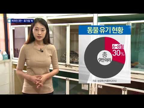 휴가지서 버려진 반려견…동물 보호센터 ‘북적’