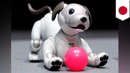 Sony's Aibo robot dog comes back cuter, smarter, more lifelike