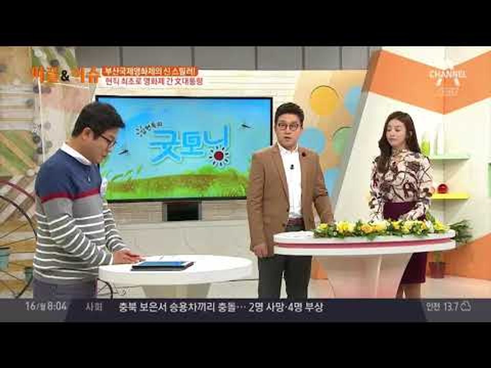 (신스틸러)문재인 대통령 부산영화제 방문! #부산국제영화제 #부국제 #현직최초
