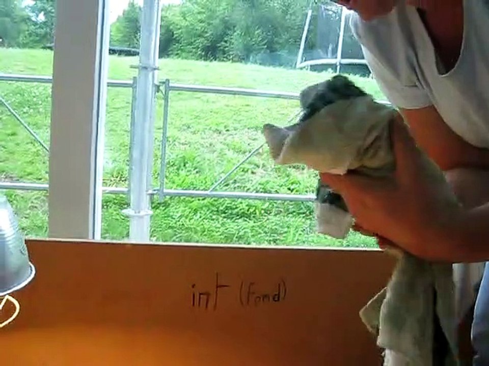 Un fils de d’Jack vient de naître 