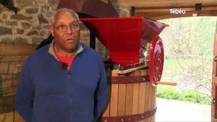 ​Du vin breton bientôt sur nos tables ?