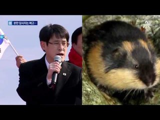 물난리 속 외유…‘화들짝’ 귀국한 도의원들