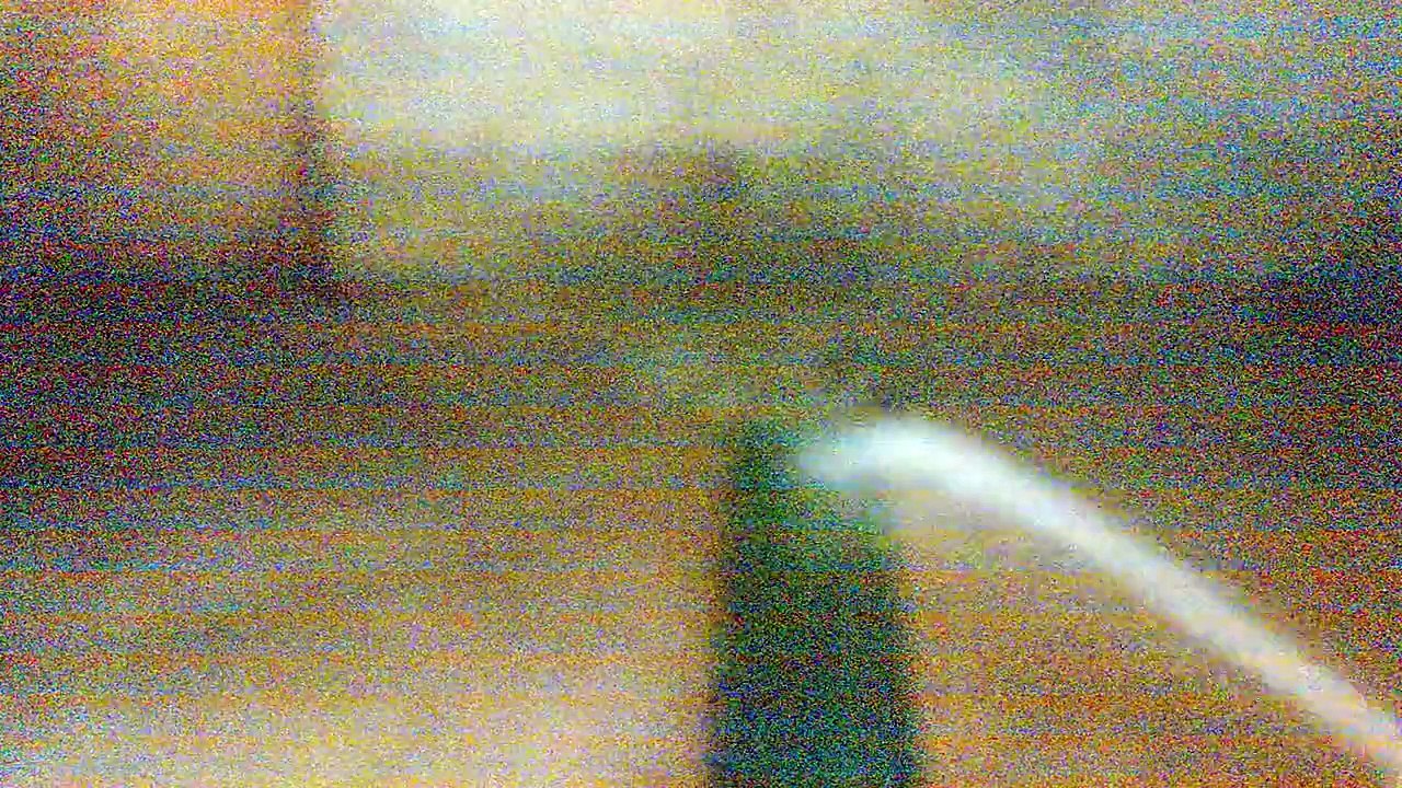 Raising pigs from piglets to bacons, part 1 Raising the hogs