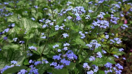 Vancouver Update: Life, Meetup, Survey