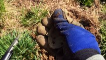 Digging silver & coins at abandoned park - Garrett AT Pro Metal Detecting video