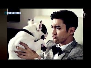 ‘한일관 대표 사망’ 아이돌 가족 반려견이 물었다