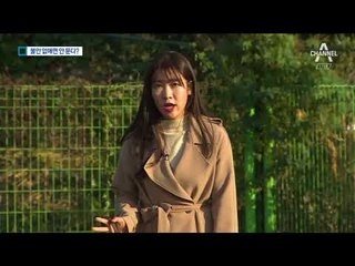 반려견 목줄은 사회화 도구…필요한 훈련은?