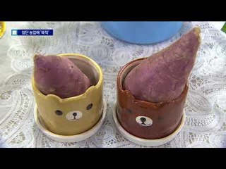 첫날 1만 5천 명 “농촌서 새길”…A팜쇼 ‘활짝’