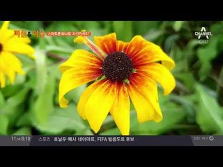 스마트폰 하나로 사진전까지? 무궁무진한 스마트폰 카메라!